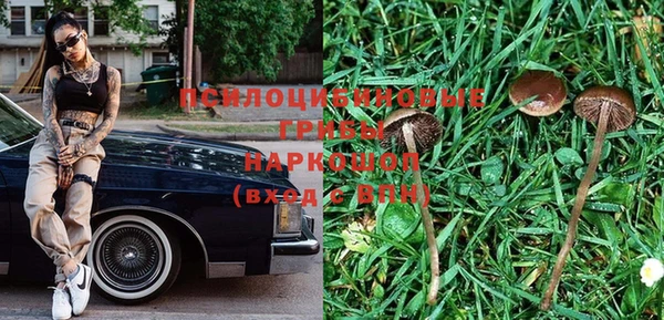 спайс Баксан