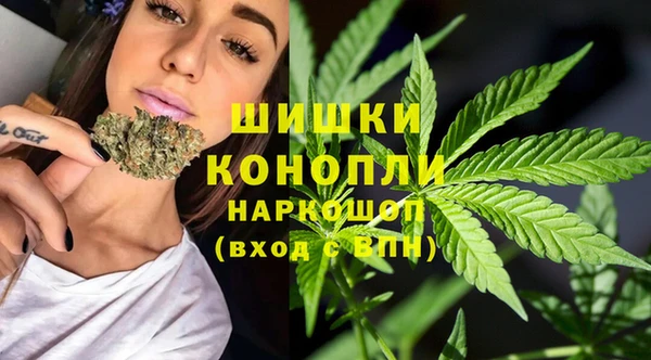 спайс Баксан