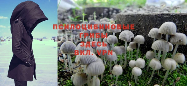 спайс Баксан